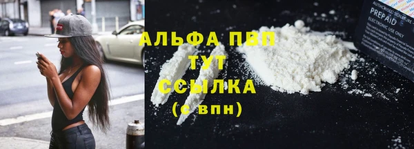 прущие грибы Слюдянка