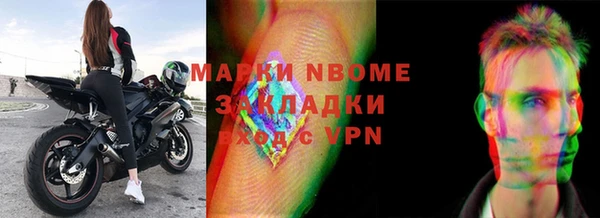 прущие грибы Слюдянка