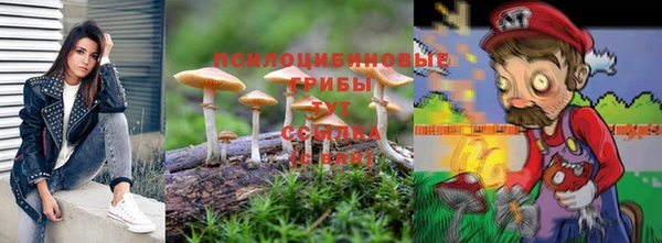 гашиш Снежногорск