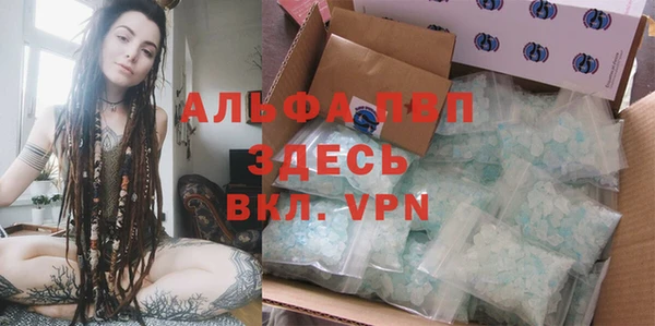 прущие грибы Слюдянка
