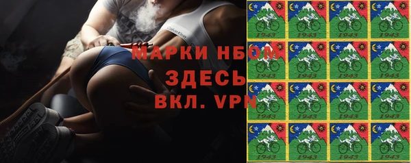 прущие грибы Слюдянка