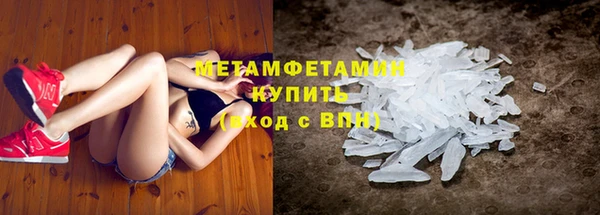 прущие грибы Слюдянка