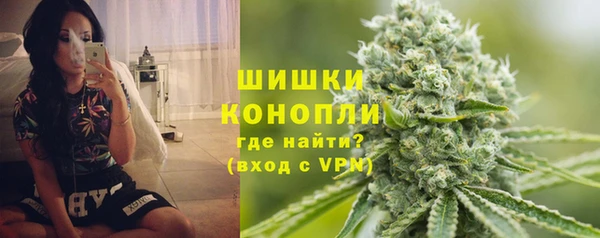 прущие грибы Слюдянка
